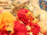 Tn IMG 2434